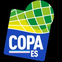 copa-espírito-santo-football-predictions